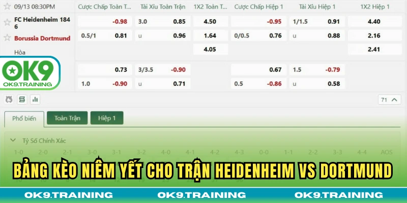 Bảng kèo niêm yết cho trận Heidenheim vs Dortmund